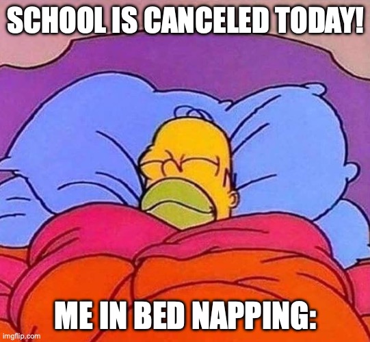 mimimimimimi | SCHOOL IS CANCELED TODAY! ME IN BED NAPPING: | image tagged in homer simpson sleeping peacefully | made w/ Imgflip meme maker