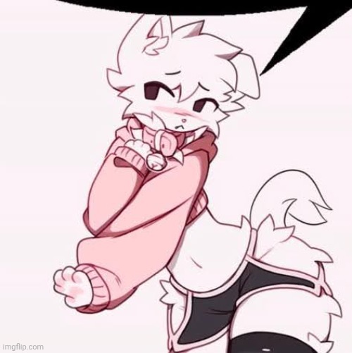 Femboy furry speech bubble | image tagged in femboy furry speech bubble | made w/ Imgflip meme maker