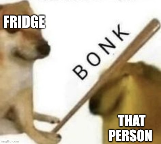 Bonk | FRIDGE THAT PERSON | image tagged in bonk | made w/ Imgflip meme maker