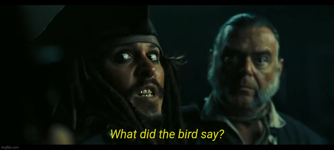 What did the bird say? Blank Meme Template