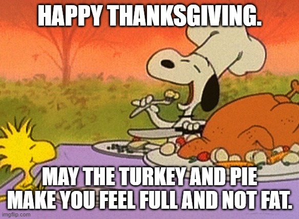 Charlie Brown thanksgiving  | HAPPY THANKSGIVING. MAY THE TURKEY AND PIE MAKE YOU FEEL FULL AND NOT FAT. | image tagged in charlie brown thanksgiving | made w/ Imgflip meme maker