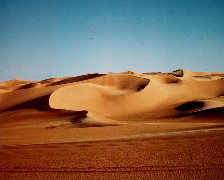 Sahara desert Blank Meme Template