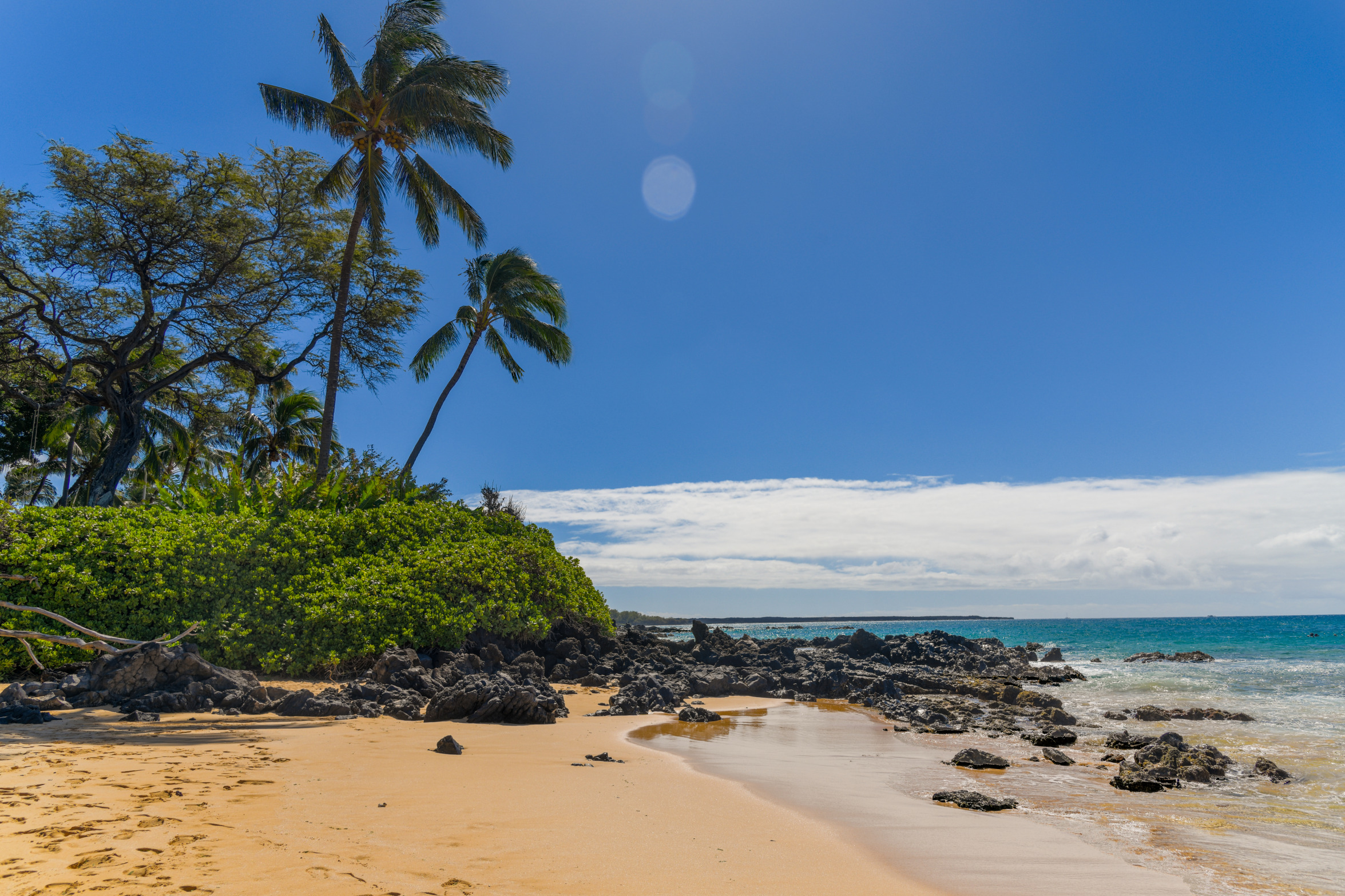 gg Blank Meme Template