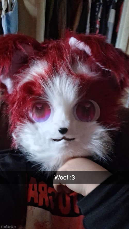 New account who dis? :3 | image tagged in furry | made w/ Imgflip meme maker