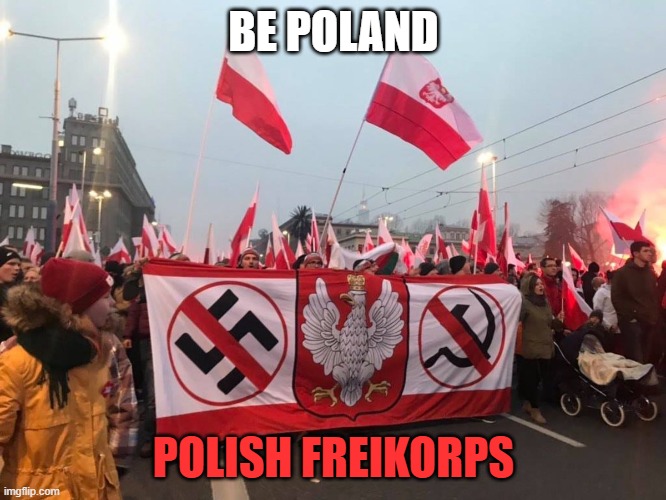 Be Poland | BE POLAND; POLISH FREIKORPS | image tagged in be poland | made w/ Imgflip meme maker
