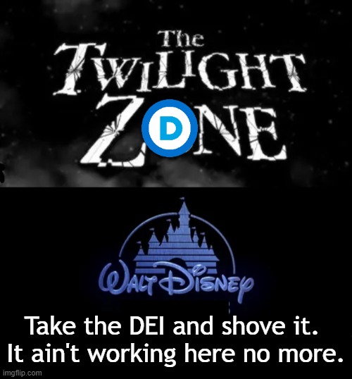 Ever heard of a rational radical? Nah, me either... | Take the DEI and shove it. 
It ain't working here no more. | image tagged in identity politics,reality,disney,twilight zone,diversity equity inclusion,political humor | made w/ Imgflip meme maker