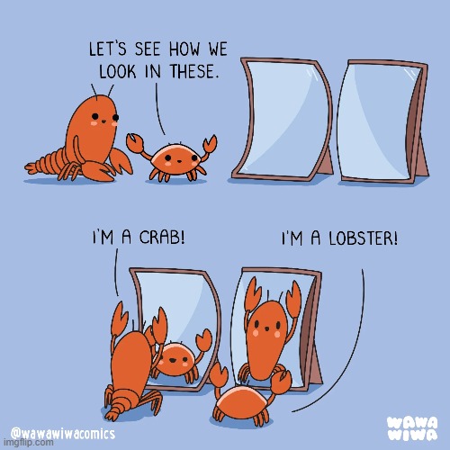 image tagged in lobster,crab,mirrors,short,tall,reverse | made w/ Imgflip meme maker