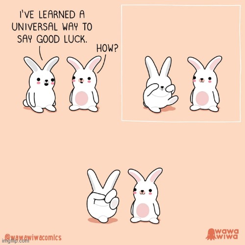 image tagged in rabbits,good luck,hand,peace | made w/ Imgflip meme maker