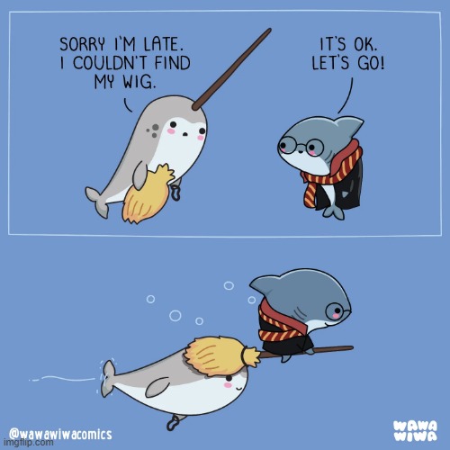 image tagged in shark,narwhal,late,wig,broom,harry potter | made w/ Imgflip meme maker
