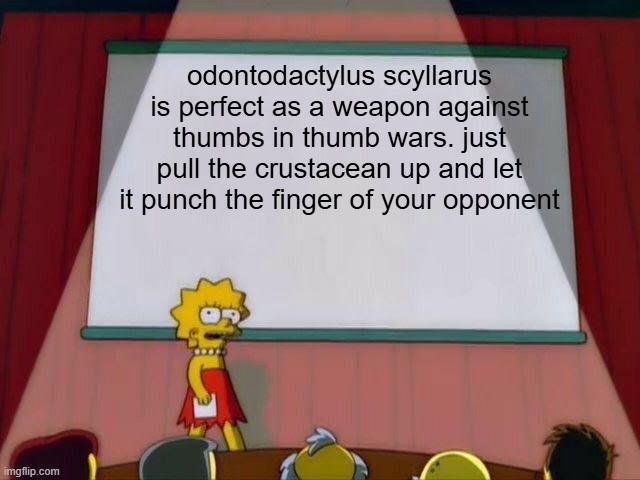 odontodactylus scyllarus | odontodactylus scyllarus is perfect as a weapon against thumbs in thumb wars. just pull the crustacean up and let it punch the finger of your opponent | image tagged in lisa simpson's presentation,memes | made w/ Imgflip meme maker