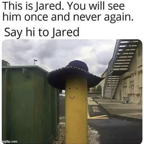 Jared. | image tagged in why are you reading the tags,do you are have stupid,nooo haha go brrr,kim jong un,rico internal screaming,masturbate | made w/ Imgflip meme maker