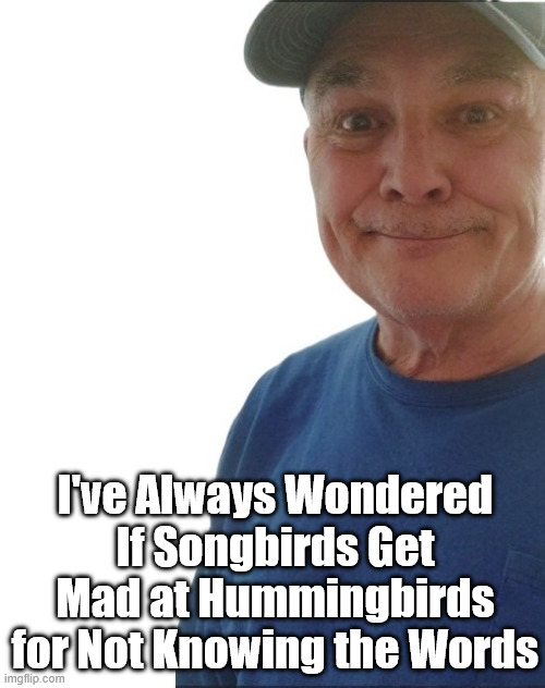 BIRDS | I've Always Wondered If Songbirds Get Mad at Hummingbirds for Not Knowing the Words | image tagged in durlearl | made w/ Imgflip meme maker