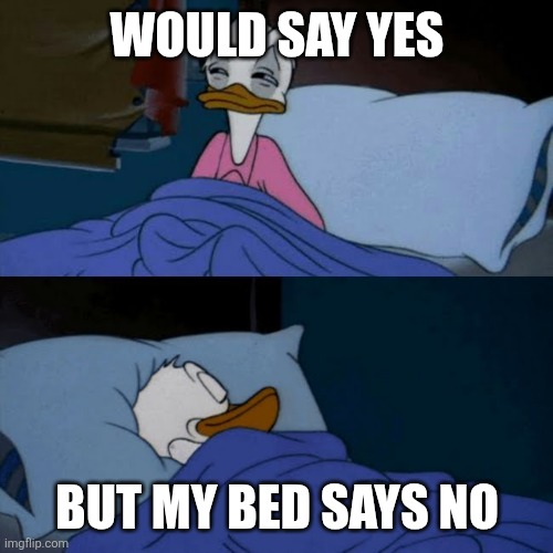 Bed better | WOULD SAY YES; BUT MY BED SAYS NO | image tagged in donald duck bed,sleep | made w/ Imgflip meme maker