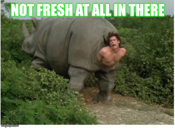 Hot Rhino | NOT FRESH AT ALL IN THERE | image tagged in hot rhino | made w/ Imgflip meme maker