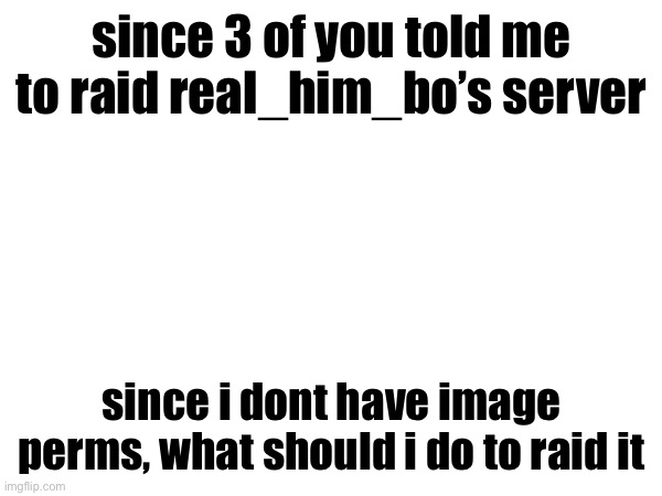 since 3 of you told me to raid real_him_bo’s server; since i dont have image perms, what should i do to raid it | made w/ Imgflip meme maker
