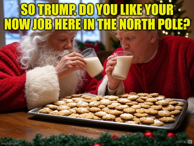 Trump Santa Cookies 1 | SO TRUMP. DO YOU LIKE YOUR NOW JOB HERE IN THE NORTH POLE? | image tagged in trump santa cookies 1 | made w/ Imgflip meme maker
