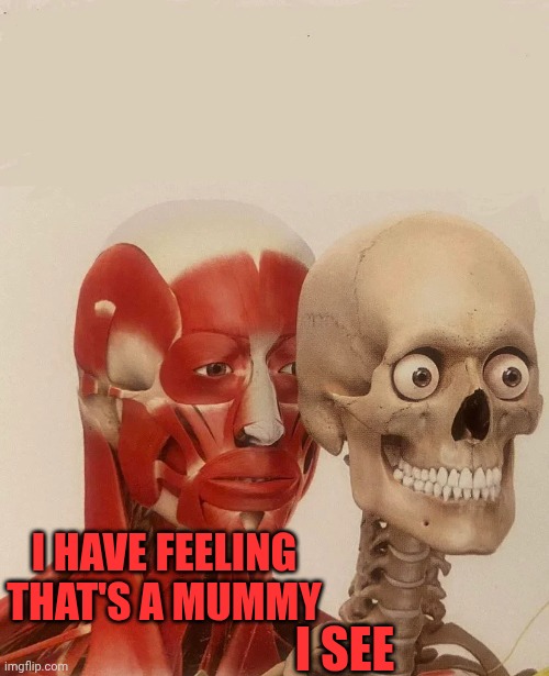 muscle behind skeleton | I HAVE FEELING THAT'S A MUMMY I SEE | image tagged in muscle behind skeleton | made w/ Imgflip meme maker