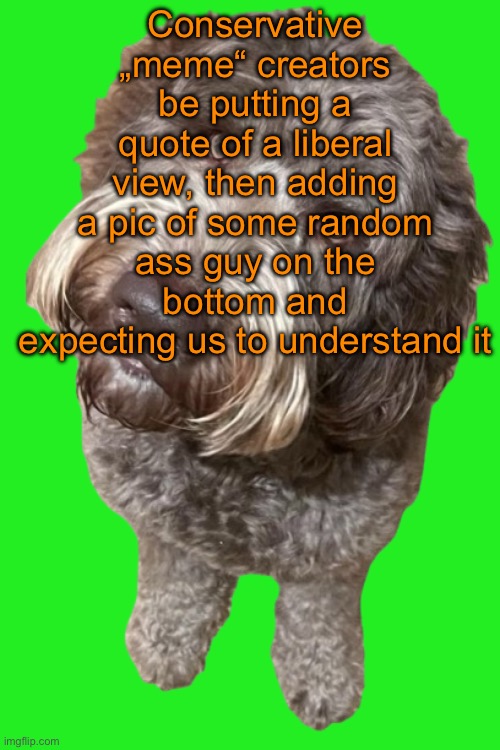 Northers Dog (Transparent) | Conservative „meme“ creators be putting a quote of a liberal view, then adding a pic of some random ass guy on the bottom and expecting us to understand it | image tagged in northers dog transparent | made w/ Imgflip meme maker