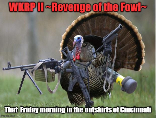 turkey | WKRP II ~Revenge of the Fowl~; That  Friday morning in the outskirts of Cincinnati | image tagged in turkey | made w/ Imgflip meme maker