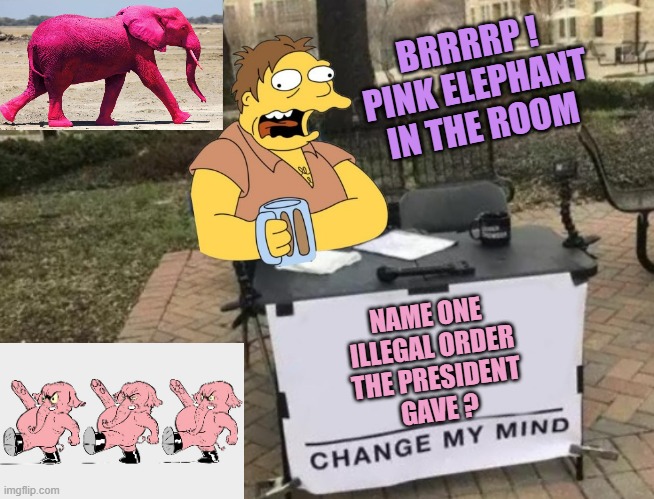 Change My Mind | BRRRRP !
PINK ELEPHANT
IN THE ROOM NAME ONE 
ILLEGAL ORDER
THE PRESIDENT
GAVE ? | image tagged in change my mind | made w/ Imgflip meme maker