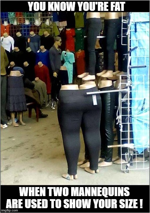 Nice Marketing ! | YOU KNOW YOU'RE FAT; WHEN TWO MANNEQUINS ARE USED TO SHOW YOUR SIZE ! | image tagged in obese,mannequin,plus size | made w/ Imgflip meme maker