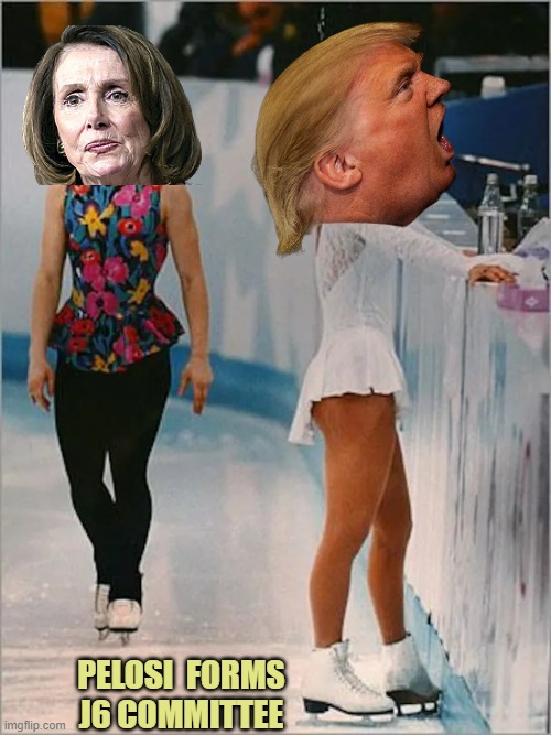 Figure skating | PELOSI  FORMS
J6 COMMITTEE | image tagged in figure skating | made w/ Imgflip meme maker