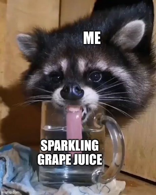 Sparkling grape juice | ME; SPARKLING GRAPE JUICE | image tagged in raccoon drinks water,food,jpfan102504 | made w/ Imgflip meme maker