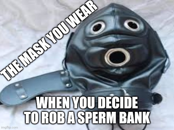Ain't No Shame... | THE MASK YOU WEAR; WHEN YOU DECIDE TO ROB A SPERM BANK | image tagged in wear a mask,man woman gay straight skull,still a better love story than twilight | made w/ Imgflip meme maker