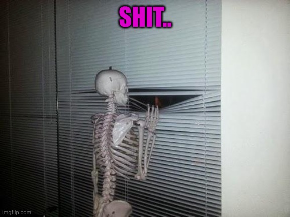 Waiting Skeleton | SHIT.. | image tagged in waiting skeleton | made w/ Imgflip meme maker