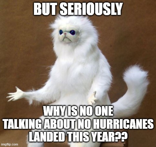 Persian white monkey | BUT SERIOUSLY WHY IS NO ONE TALKING ABOUT NO HURRICANES LANDED THIS YEAR?? | image tagged in persian white monkey | made w/ Imgflip meme maker
