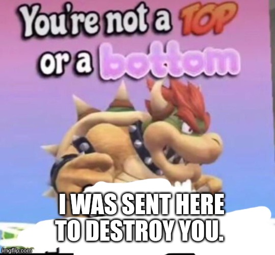 You’re not a top or bottom | I WAS SENT HERE TO DESTROY YOU. | image tagged in you re not a top or bottom | made w/ Imgflip meme maker