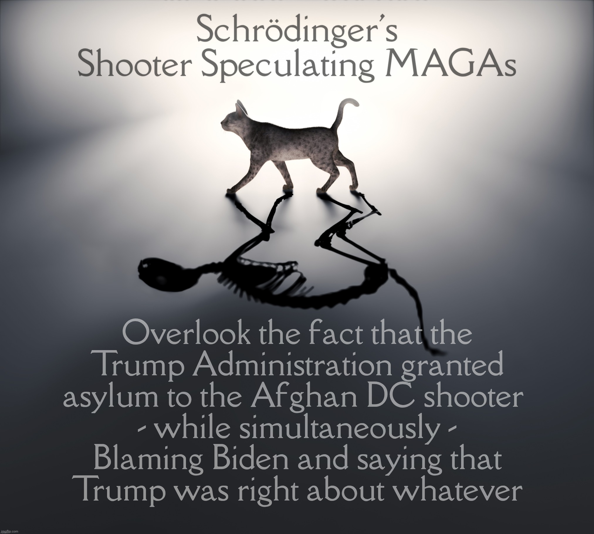 Schrodinger's Cat | Schrödinger's Shooter Speculating MAGAs; Overlook the fact that the
Trump Administration granted
asylum to the Afghan DC shooter 
- while simultaneously -
Blaming Biden and saying that
Trump was right about whatever | image tagged in schrodinger's cat | made w/ Imgflip meme maker