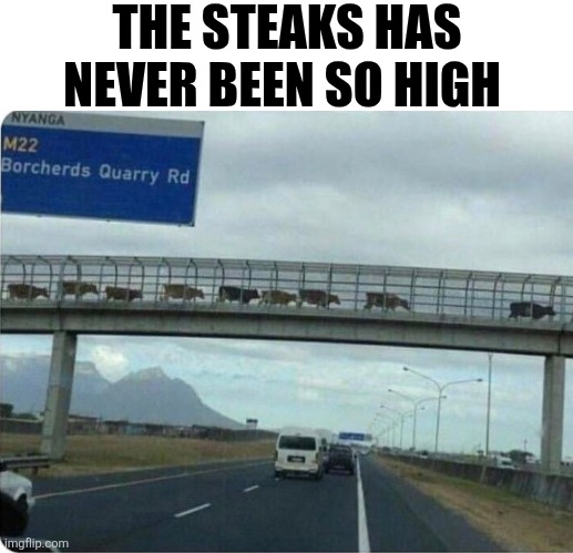 The Steaks Has Never Been So High | THE STEAKS HAS NEVER BEEN SO HIGH | image tagged in chrisjoines1 | made w/ Imgflip meme maker