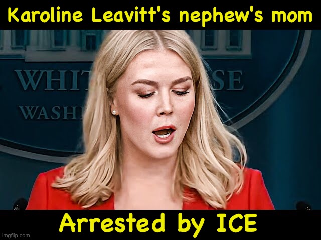 https://m.youtube.com/watch?v=ZSP5R_Ca1FA | Karoline Leavitt's nephew's mom; Arrested by ICE | image tagged in karoline leavitt | made w/ Imgflip meme maker