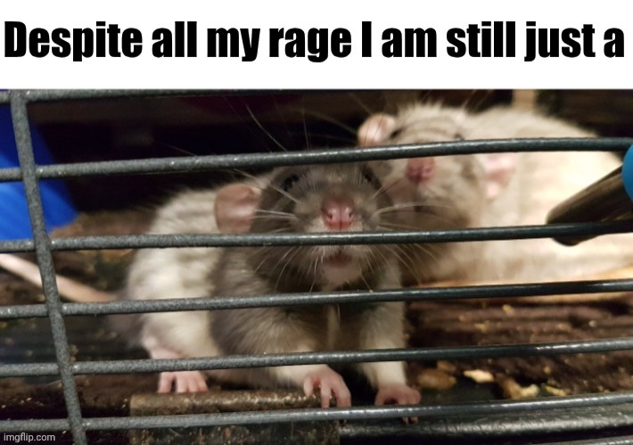 The world is a vampire, sent to dra-a-ain~ | image tagged in bullet with butterfly wings | made w/ Imgflip meme maker