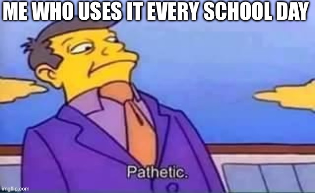 skinner pathetic | ME WHO USES IT EVERY SCHOOL DAY | image tagged in skinner pathetic | made w/ Imgflip meme maker