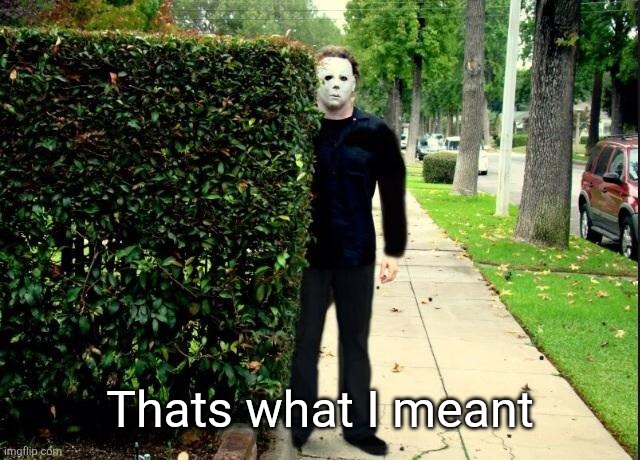 Mike Myers Bush | Thats what I meant | image tagged in mike myers bush | made w/ Imgflip meme maker