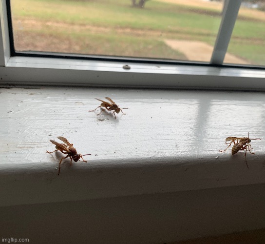 Chillin | made w/ Imgflip meme maker