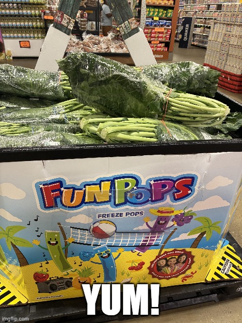 Freeze Pop | YUM! | image tagged in you had one job | made w/ Imgflip meme maker