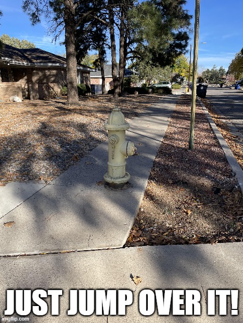 Side"walk" | JUST JUMP OVER IT! | image tagged in you had one job | made w/ Imgflip meme maker