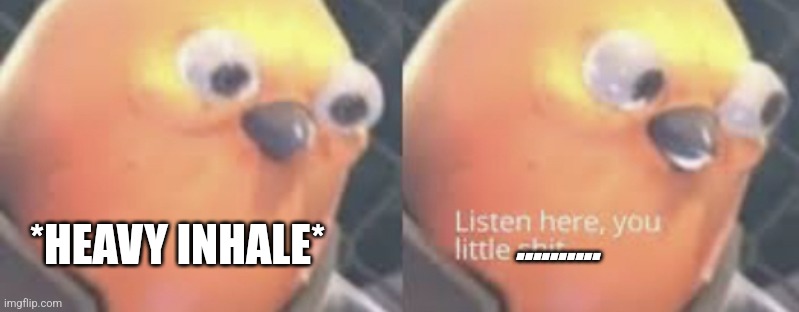 *HEAVY INHALE* ■■■■■■■■■■ | image tagged in listen here you little shit bird | made w/ Imgflip meme maker