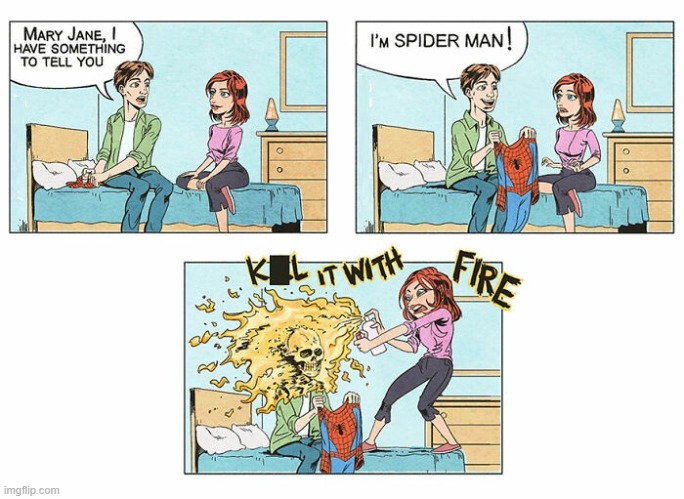 Kill the Spider | image tagged in spiderman | made w/ Imgflip meme maker