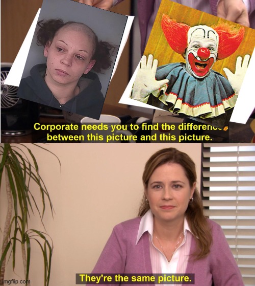 It's in the Hair | image tagged in memes,they're the same picture | made w/ Imgflip meme maker