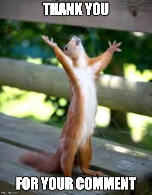 Praise Squirrel | THANK YOU FOR YOUR COMMENT | image tagged in praise squirrel | made w/ Imgflip meme maker