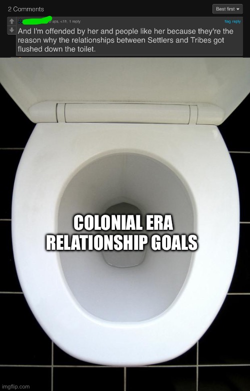Relationship goals :p | COLONIAL ERA RELATIONSHIP GOALS | image tagged in toilet,relationship goals,history memes | made w/ Imgflip meme maker