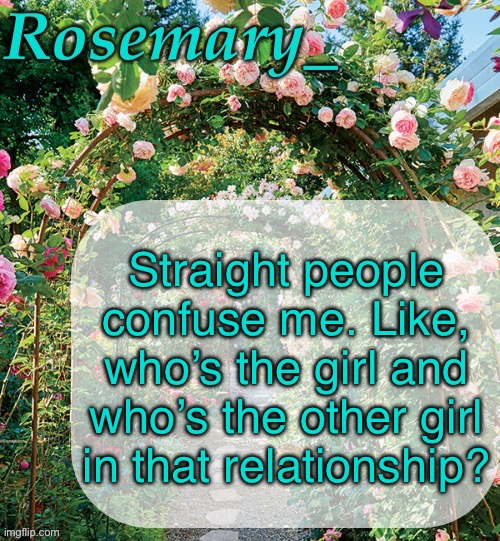Rosemary_ template | Straight people confuse me. Like, who’s the girl and who’s the other girl in that relationship? | image tagged in rosemary_ template | made w/ Imgflip meme maker