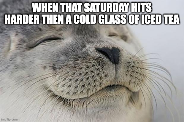 Satisfied Seal | WHEN THAT SATURDAY HITS HARDER THEN A COLD GLASS OF ICED TEA | image tagged in memes,satisfied seal | made w/ Imgflip meme maker