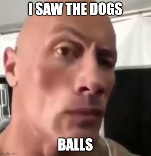The Rock Eyebrows | I SAW THE DOGS BALLS | image tagged in the rock eyebrows | made w/ Imgflip meme maker