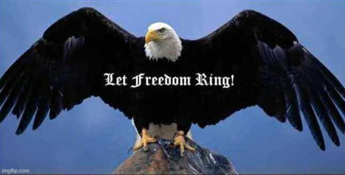 Let Freedom Ring | image tagged in freedom,eagle,let freedom ring | made w/ Imgflip meme maker