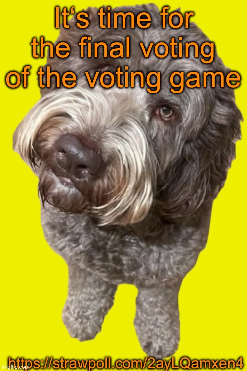 https://strawpoll.com/2ayLQamxen4 | It‘s time for the final voting of the voting game; https://strawpoll.com/2ayLQamxen4 | image tagged in northers dog transparent,voting game s13 | made w/ Imgflip meme maker